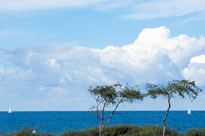 Ferienwohnung Strandvilla Börgerende